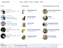Tablet Screenshot of ebirds.ru